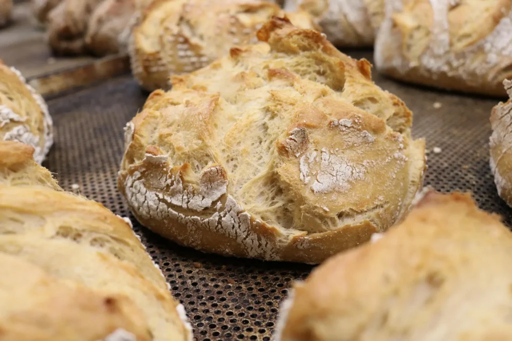 Sourdough Discard Breakfast Recipes